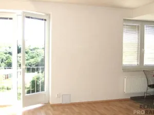 Pronájem bytu 1+kk, Brno, U Leskavy, 33 m2
