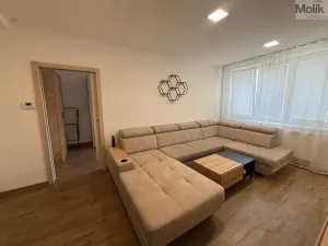 Pronájem bytu 3+1, Litvínov - Horní Litvínov, Vinohradská, 63 m2