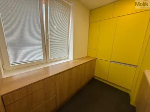 Pronájem bytu 3+1, Litvínov - Horní Litvínov, Vinohradská, 63 m2