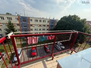 Pronájem bytu 3+1, Litvínov - Horní Litvínov, Vinohradská, 63 m2