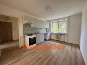Pronájem bytu 2+1, Karviná - Nové Město, Sapíkova, 47 m2