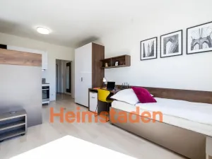 Pronájem bytu 1+kk, Plzeň - Jižní Předměstí, Magisterská, 27 m2