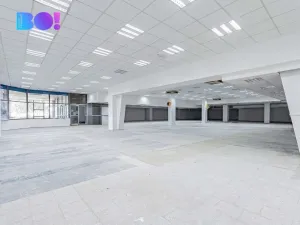 Pronájem obchodního prostoru, Opava, Ratibořská, 890 m2