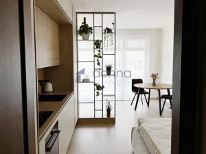 Pronájem bytu 1+kk, Praha, Jáchymovská, 33 m2