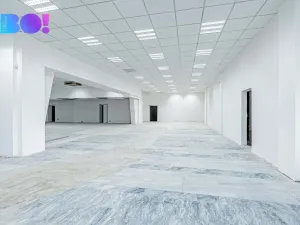 Pronájem skladu, Opava, Ratibořská, 390 m2