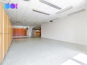 Pronájem obchodního prostoru, Frýdek-Místek, Frýdlantská, 100 m2
