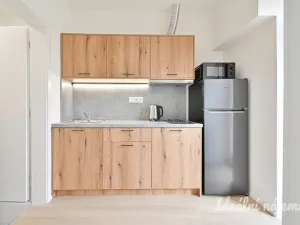Pronájem bytu 1+1, Brno, Bubeníčkova, 25 m2