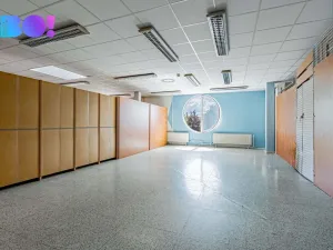 Pronájem obchodního prostoru, Frýdek-Místek, Frýdlantská, 50 m2