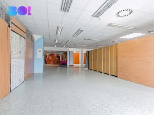 Pronájem obchodního prostoru, Frýdek-Místek, Frýdlantská, 50 m2