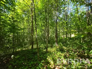 Prodej pozemku pro bydlení, Desná, okres jablonec nad nisou, Výletní, 6703 m2