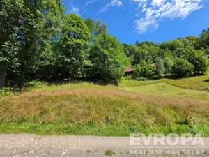 Prodej pozemku pro bydlení, Desná, okres jablonec nad nisou, Výletní, 6703 m2