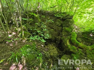 Prodej pozemku pro bydlení, Desná, okres jablonec nad nisou, Výletní, 6703 m2