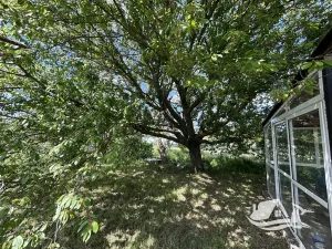 Prodej rodinného domu, Dabovik, Bulharsko, 78 m2