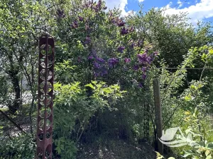 Prodej rodinného domu, Dabovik, Bulharsko, 78 m2