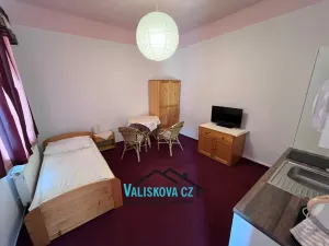 Pronájem bytu 1+kk, Kroměříž, Riegrovo náměstí, 29 m2