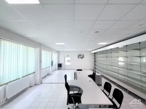 Pronájem skladu, Jihlava, Znojemská, 1004 m2