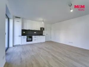 Pronájem bytu 1+kk, Plzeň - Skvrňany, Na Průhonu, 40 m2