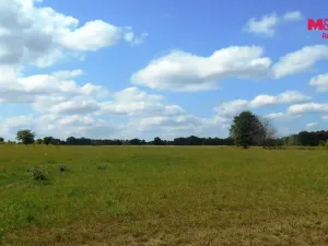 Prodej zemědělské usedlosti, Úštěk - Robeč, 1230 m2