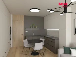 Prodej bytu 1+kk, Olomouc, Eduarda Hamburgera, 33 m2