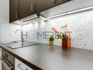 Pronájem bytu 1+kk, Praha - Bubeneč, Korunovační, 17 m2