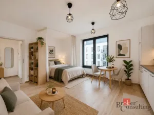 Pronájem bytu 1+kk, Plzeň - Jižní Předměstí, Železná, 28 m2
