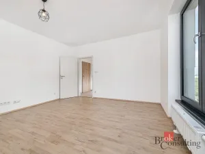 Pronájem bytu 1+kk, Plzeň - Jižní Předměstí, Železná, 28 m2