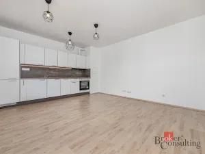 Pronájem bytu 1+kk, Plzeň - Jižní Předměstí, Železná, 28 m2