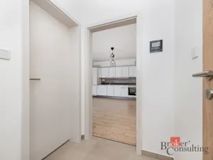 Pronájem bytu 1+kk, Plzeň - Jižní Předměstí, Železná, 28 m2