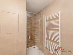 Pronájem bytu 1+kk, Plzeň - Jižní Předměstí, Železná, 28 m2