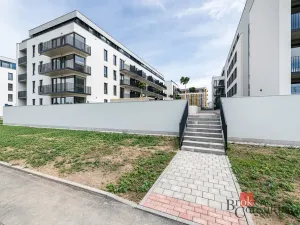 Pronájem bytu 1+kk, Plzeň - Jižní Předměstí, Železná, 28 m2