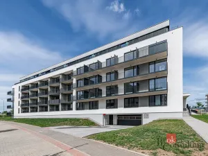 Pronájem bytu 1+kk, Plzeň - Jižní Předměstí, Železná, 28 m2