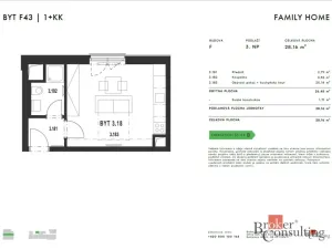 Pronájem bytu 1+kk, Plzeň - Jižní Předměstí, Železná, 28 m2