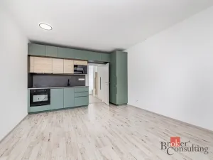Pronájem bytu 1+kk, Plzeň - Jižní Předměstí, Železná, 38 m2