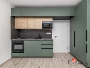 Pronájem bytu 1+kk, Plzeň - Jižní Předměstí, Železná, 38 m2