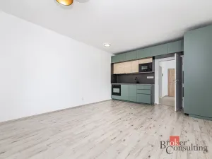 Pronájem bytu 1+kk, Plzeň - Jižní Předměstí, Železná, 38 m2