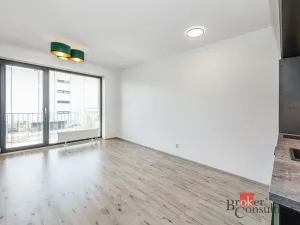 Pronájem bytu 1+kk, Plzeň - Jižní Předměstí, Železná, 38 m2