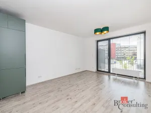 Pronájem bytu 1+kk, Plzeň - Jižní Předměstí, Železná, 38 m2