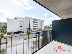 Pronájem bytu 1+kk, Plzeň - Jižní Předměstí, Železná, 38 m2