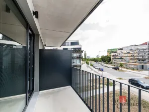 Pronájem bytu 1+kk, Plzeň - Jižní Předměstí, Železná, 38 m2