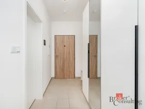 Pronájem bytu 1+kk, Plzeň - Jižní Předměstí, Železná, 38 m2