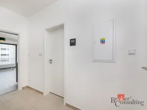 Pronájem bytu 1+kk, Plzeň - Jižní Předměstí, Železná, 38 m2