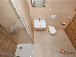 Pronájem bytu 1+kk, Plzeň - Jižní Předměstí, Železná, 38 m2