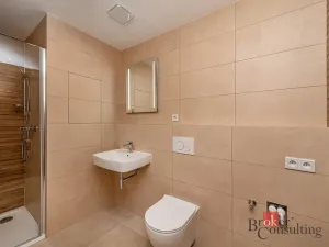 Pronájem bytu 1+kk, Plzeň - Jižní Předměstí, Železná, 38 m2
