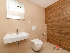 Pronájem bytu 1+kk, Plzeň - Jižní Předměstí, Železná, 38 m2