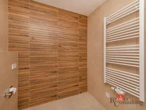 Pronájem bytu 1+kk, Plzeň - Jižní Předměstí, Železná, 38 m2