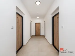 Pronájem bytu 1+kk, Plzeň - Jižní Předměstí, Železná, 38 m2