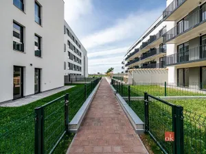 Pronájem bytu 1+kk, Plzeň - Jižní Předměstí, Železná, 38 m2