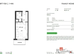 Pronájem bytu 1+kk, Plzeň - Jižní Předměstí, Železná, 38 m2