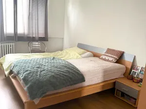 Pronájem bytu 2+1, Děčín, Pohraniční, 67 m2