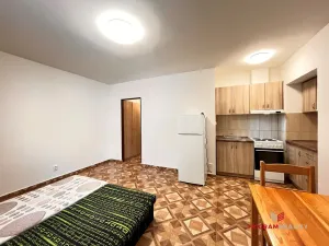 Pronájem bytu 1+kk, Hradec Králové - Plotiště nad Labem, 26 m2